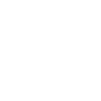 Shield Icon